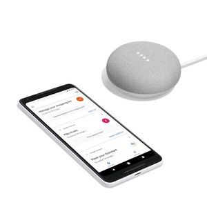 Google Home Mini Gray